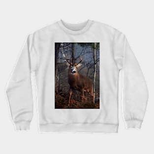 Buck on ridge portrait - White-tailed Deer Crewneck Sweatshirt